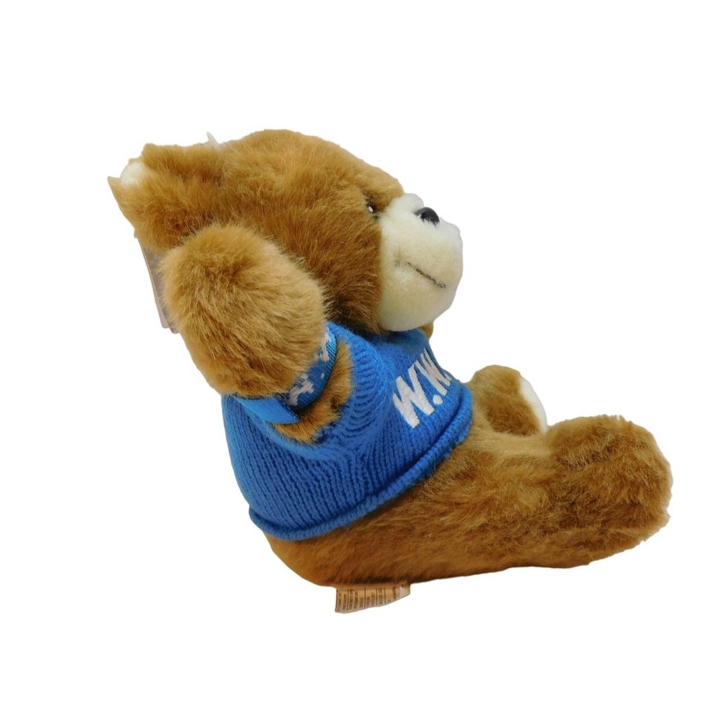 What Would Jesus Do Blue Sweater & Bracelet 8" Plush Bear W/Tags Stuffed Animal - Picture 2 of 9